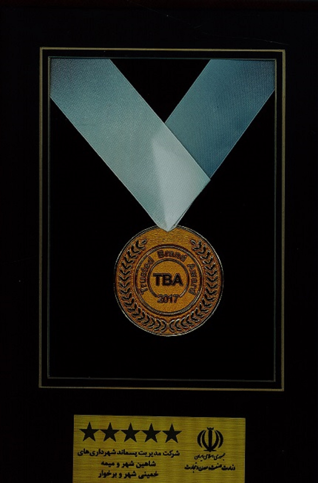 دریافت نشان شایسته ملی